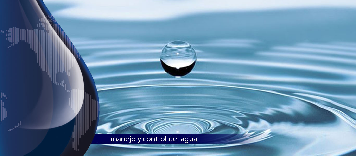 Petroleo y refinación, Poliductos e industria del gas, Sector industrial, Biocombustibles, Minería, Cemento, Metalúrgico, Sidurúrgico, Química, Farmacéutica, Control del agua, Cerveza, Azúcar, Alimentos, Energético, Textil, Pulpa y Papel