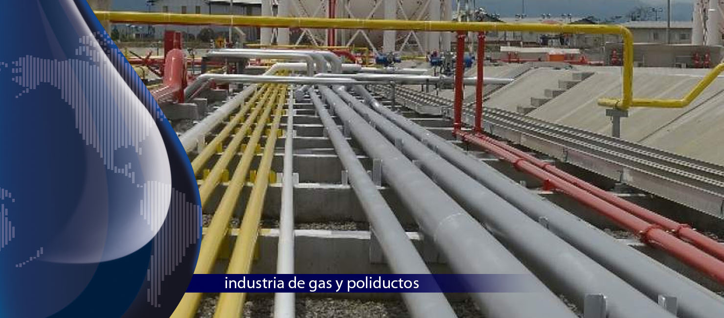 Petroleo y refinación, Poliductos e industria del gas, Sector industrial, Biocombustibles, Minería, Cemento, Metalúrgico, Sidurúrgico, Química, Farmacéutica, Control del agua, Cerveza, Azúcar, Alimentos, Energético, Textil, Pulpa y Papel